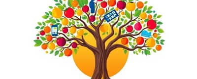 Diversificación: Reduce Riesgos, Aumenta Oportunidades